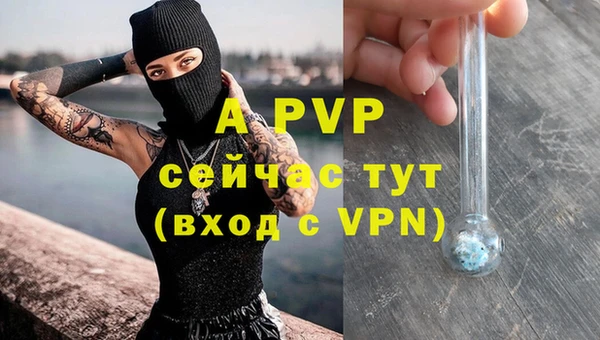 дживик Верея