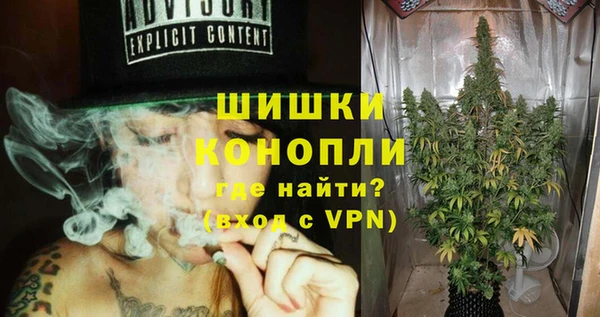 дживик Верея
