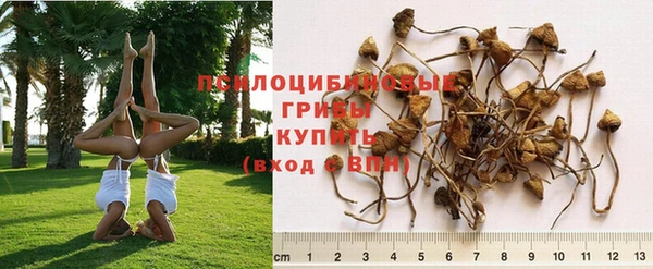 бутират Верхнеуральск
