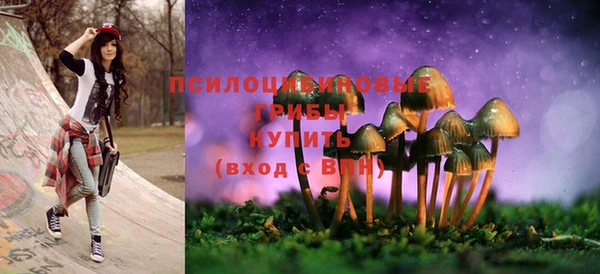 дживик Верея