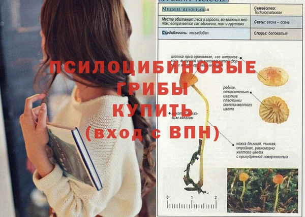 дживик Верея